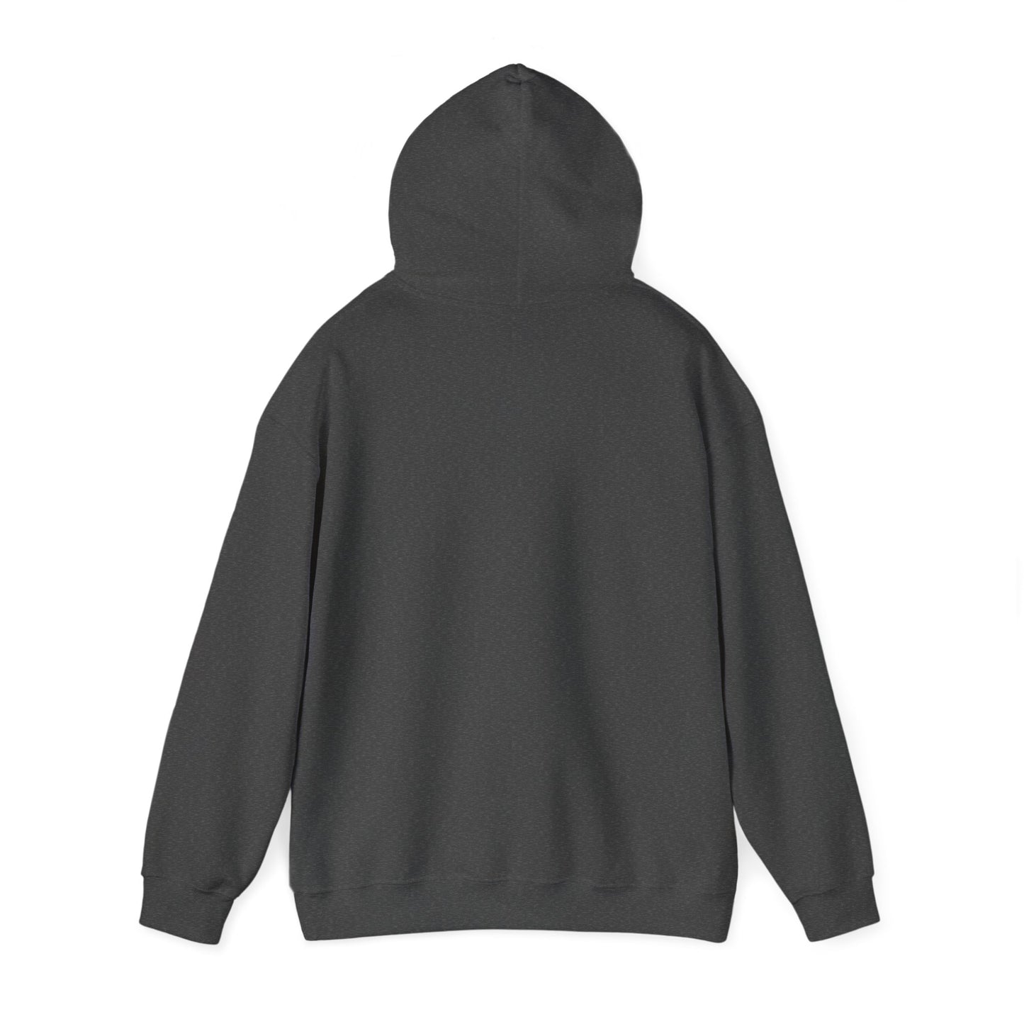 De Bruyne Unisex Hoodie